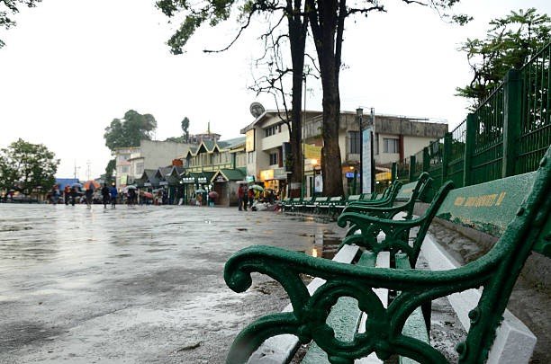 Darjeeling rest stop