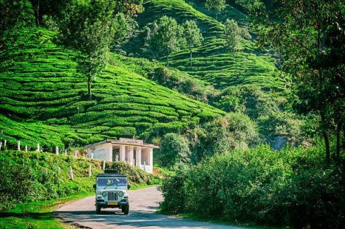 Munnar Tea Hills
